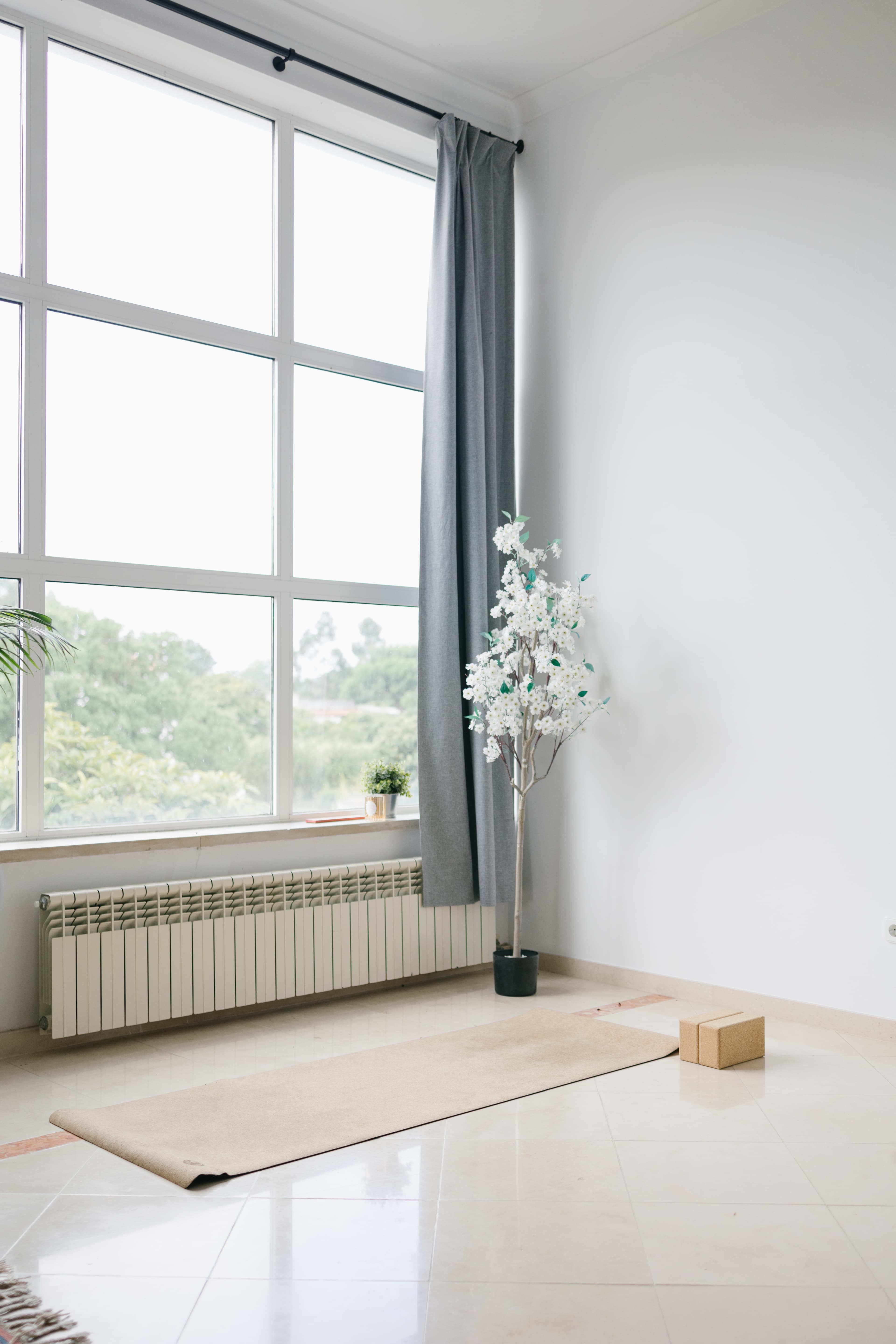 Comfortable indoor seating area