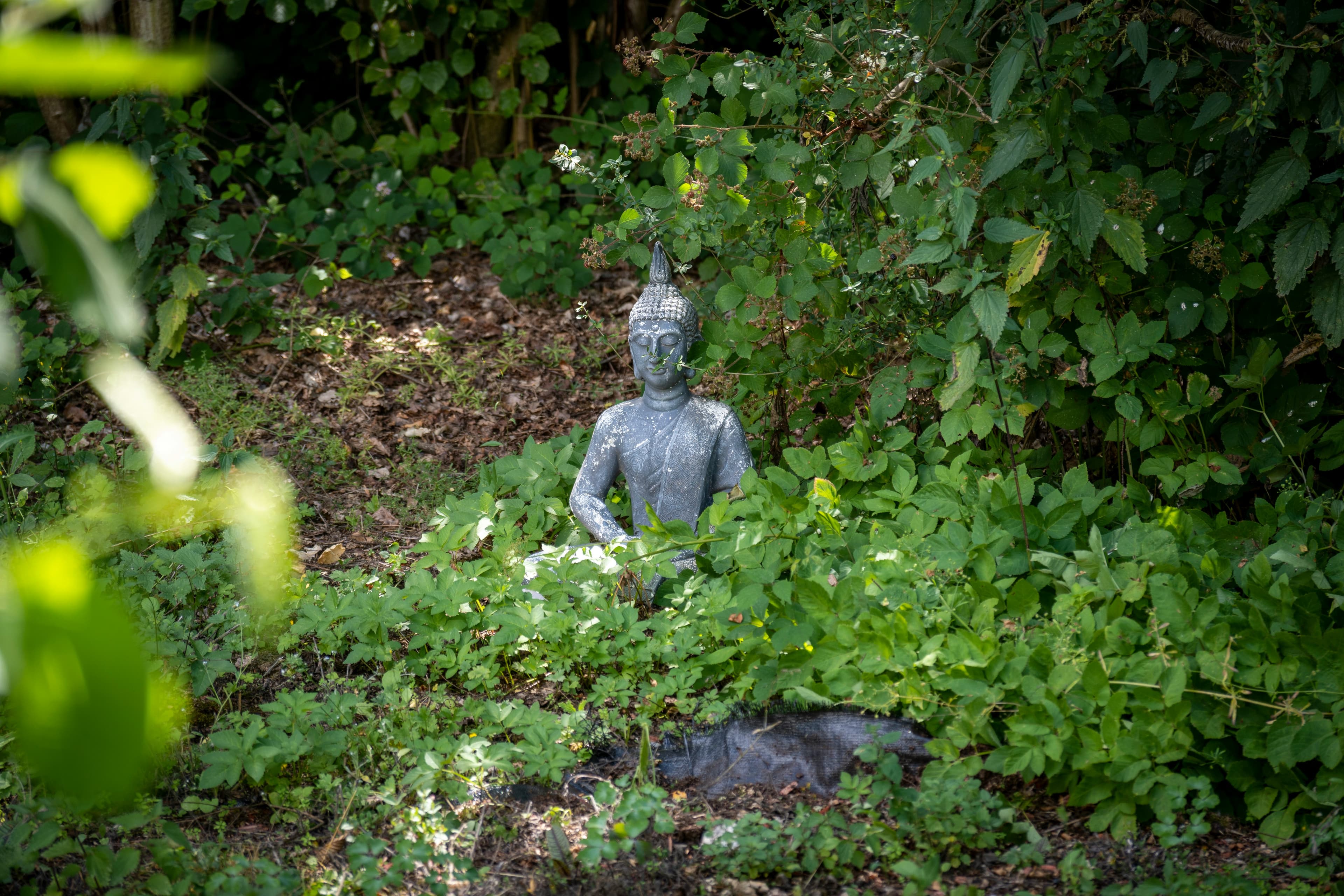 Buddha Eden Garden